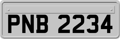 PNB2234
