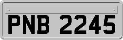 PNB2245