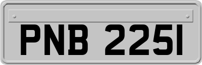 PNB2251