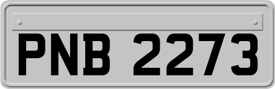 PNB2273