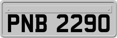 PNB2290