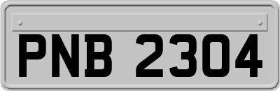 PNB2304