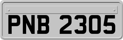 PNB2305