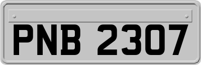 PNB2307