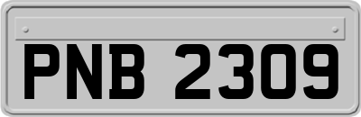 PNB2309