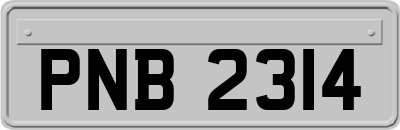 PNB2314