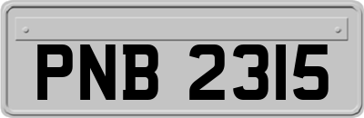 PNB2315