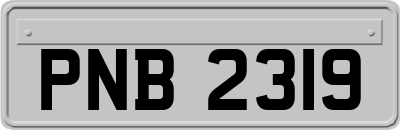 PNB2319