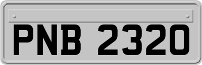PNB2320