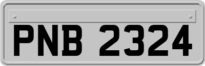 PNB2324