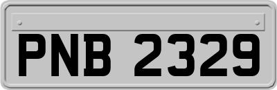PNB2329
