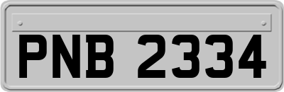 PNB2334