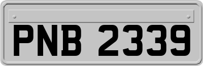 PNB2339
