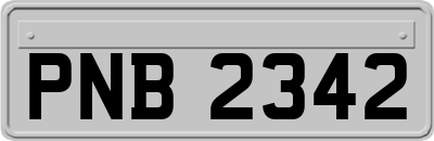 PNB2342