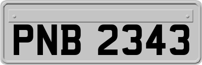 PNB2343