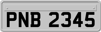 PNB2345