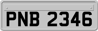 PNB2346