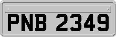 PNB2349