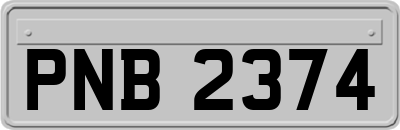PNB2374
