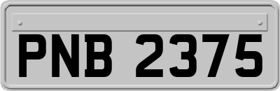 PNB2375