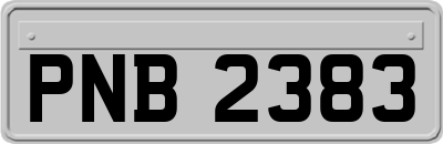 PNB2383