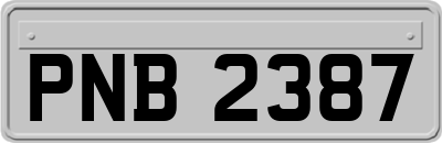 PNB2387