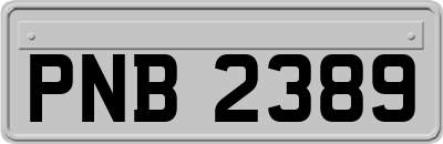 PNB2389