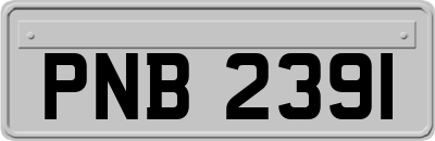 PNB2391