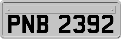 PNB2392