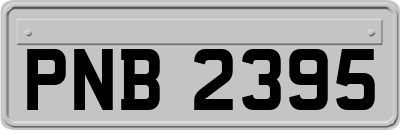 PNB2395