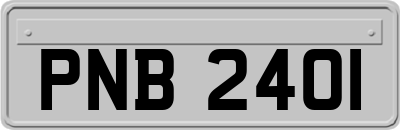 PNB2401