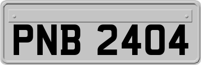 PNB2404