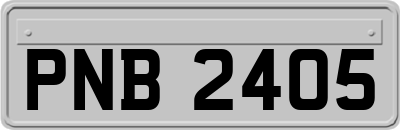 PNB2405