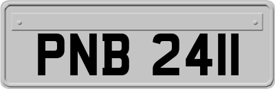 PNB2411