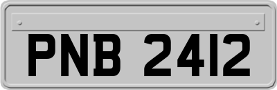 PNB2412