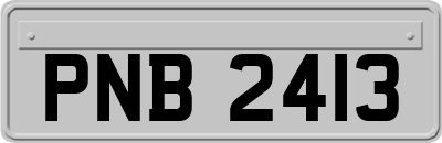 PNB2413