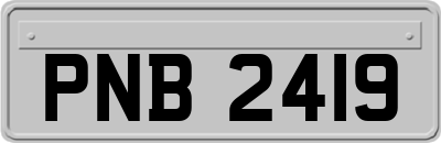 PNB2419