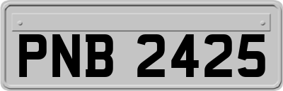 PNB2425