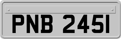 PNB2451
