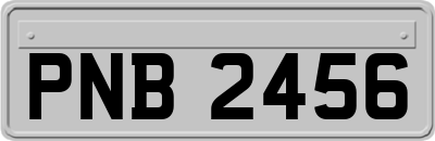 PNB2456