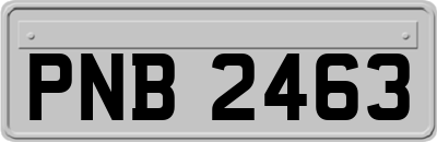 PNB2463
