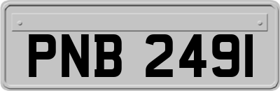 PNB2491