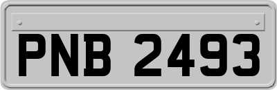 PNB2493
