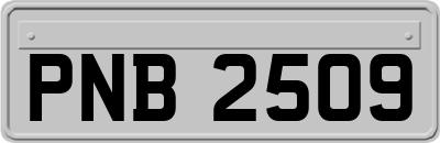 PNB2509