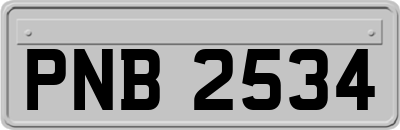 PNB2534
