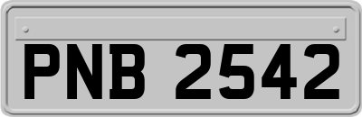 PNB2542