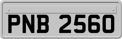 PNB2560