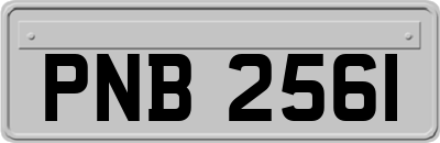 PNB2561