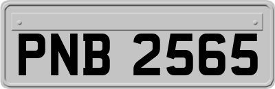 PNB2565