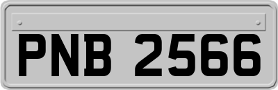 PNB2566